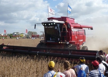 Vasalli insiste en que debe desprenderse de 120 trabajadores