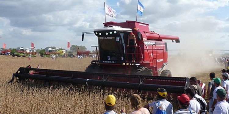 Vasalli insiste en que debe desprenderse de 120 trabajadores
