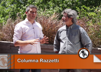 La columna Razzetti: “La producción de carne vacuna, cerca del récord en 2017”