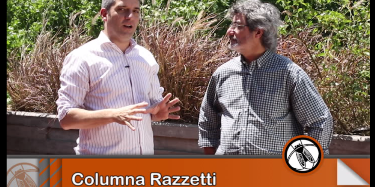 La columna Razzetti: “La producción de carne vacuna, cerca del récord en 2017”