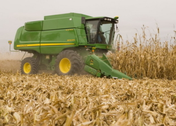 En Agroindustria ya prevén una cosecha récord para que anuncie el nuevo ministro: 137,9 M