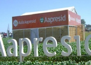 La grieta más profunda: la batalla entre defensores y detractores del glifosato