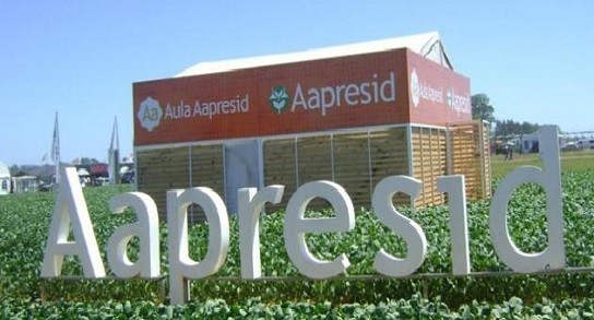 La grieta más profunda: la batalla entre defensores y detractores del glifosato