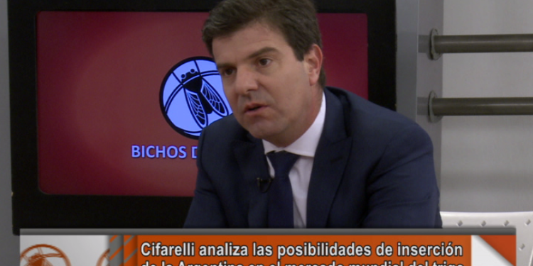 Diego Cifarelli: “Estamos tratando de desafiar el mito de las 20 millones de toneladas de trigo”