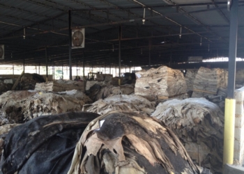 Los frigoríficos no saben qué hacer con los cueros: valen poco, nadie los compra y se les pudren