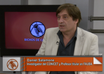 Daniel Salamone: “Queremos producir cerdos con órganos que sirvan para trasplantes humanos”