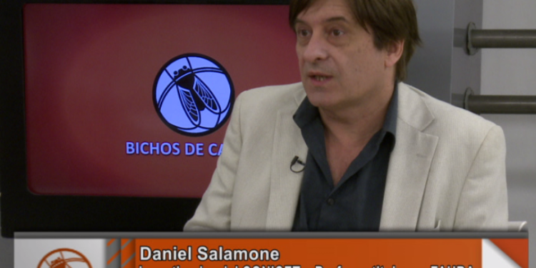Daniel Salamone: “Queremos producir cerdos con órganos que sirvan para trasplantes humanos”
