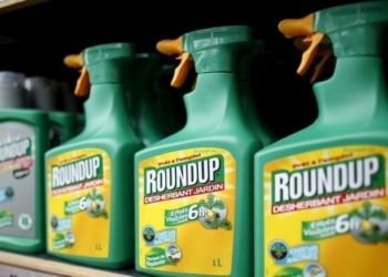 Rosario, la “capital de la soja transgénica”, prohíbe el glifosato