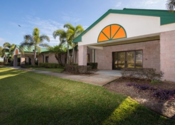 La ilusión que nos condena: un virus transgénico, posible cura a la temible HLB