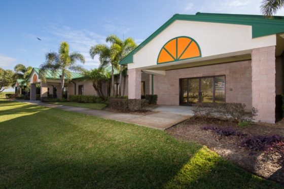 La ilusión que nos condena: un virus transgénico, posible cura a la temible HLB