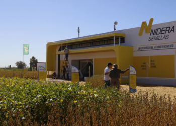 Al final, Nidera semillas quedó en manos de Syngenta