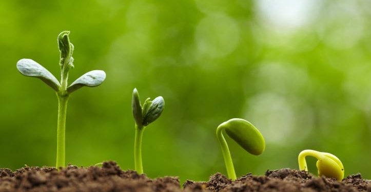 ¿Cómo se financian los productores argentinos? 30% con dinero propio y 70% prestado