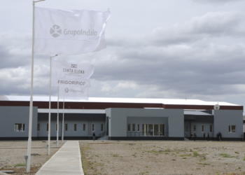 Ideas del Sur: Cristóbal pagará la deuda a Tinelli con un frigorífico para ovinos en Chubut