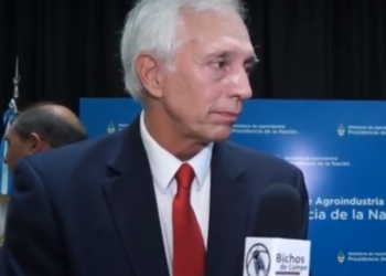 Willy Bernaudo: “El camino viene por bajar costos y el Estado se está haciendo cargo”