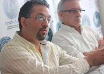 Nicolás Carlino: “Las naranjas que yo vendía a $ 2,5, en Buenos Aires me las cobraban $ 48”