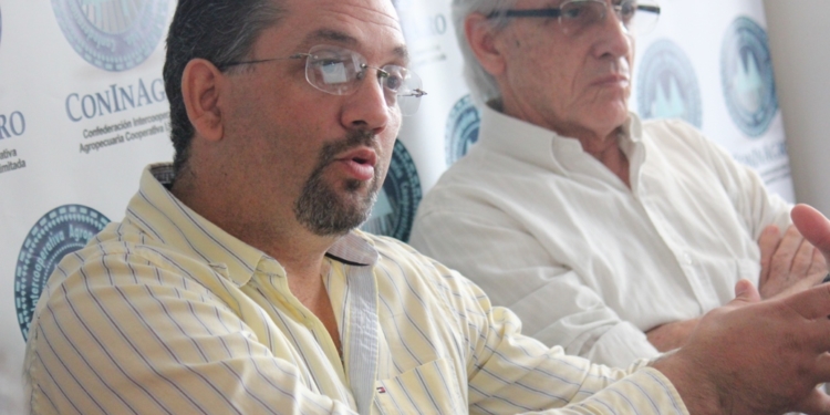 Nicolás Carlino: “Las naranjas que yo vendía a $ 2,5, en Buenos Aires me las cobraban $ 48”