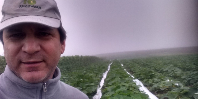 Los “locos lindos” en Bichos: el buscador de hongos nativos