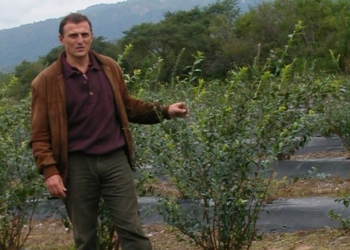 Alejandro Pannunzio: “Algunos productores de arándanos pagamos costos de energía que son un disparate”