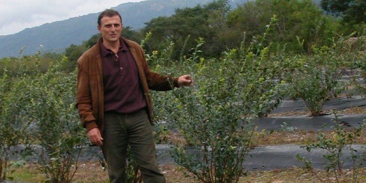 Alejandro Pannunzio: “Algunos productores de arándanos pagamos costos de energía que son un disparate”