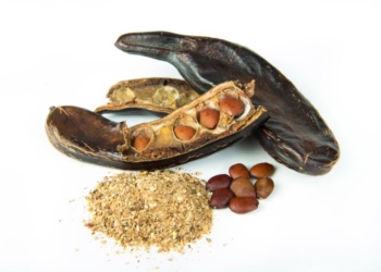 Sabores y saberes: Nancy, la algarrobera, y un pan dulce bien santiagueño