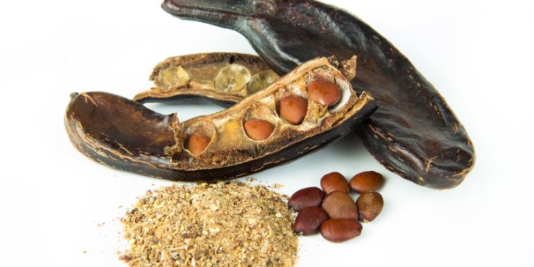 Sabores y saberes: Nancy, la algarrobera, y un pan dulce bien santiagueño