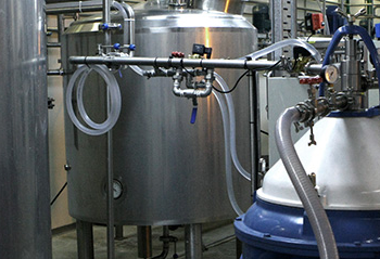 Aprueban un cártamo transgénico para obtener un ingrediente clave para hacer queso