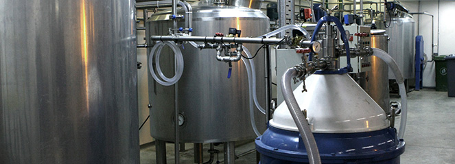 Aprueban un cártamo transgénico para obtener un ingrediente clave para hacer queso