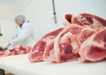 La novela de la Ractopamina: Argentina la prohíbe a sus productores de cerdos, pero importa carne con ese fármaco