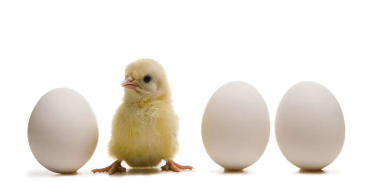 La rebaja del IVA abrió una nueva polémica: ¿el huevo o el pollo?