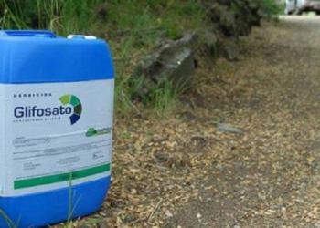 La tensión por el glifosato se trasladó a Entre Ríos, el pago chico del ministro Etchevehere