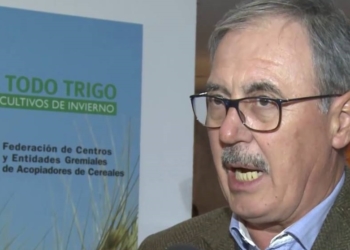 Héctor Tristán: “Con la reforma fiscal, hay que poner a trabajar a los contadores”