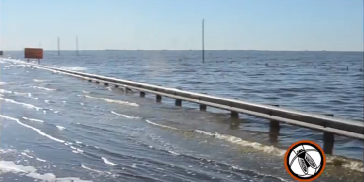 Laguna La Picasa: historia de una frustración