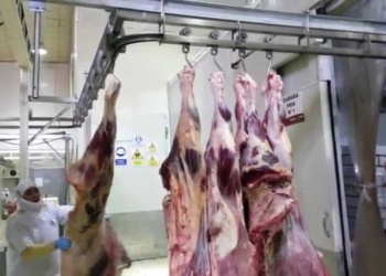 Primera reacción ante el tarifazo: La suba de la electricidad le pega mal al sector frigorífico