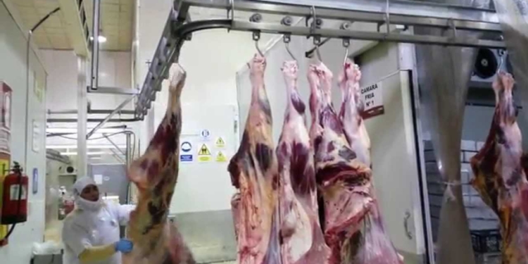 Primera reacción ante el tarifazo: La suba de la electricidad le pega mal al sector frigorífico