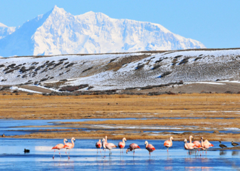 Filántropos versus productores: Sospechas detrás de la creación de un parque nacional en Santa Cruz