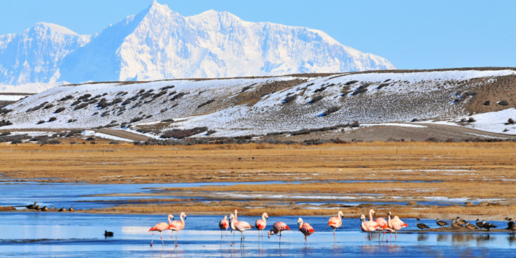 Filántropos versus productores: Sospechas detrás de la creación de un parque nacional en Santa Cruz