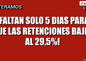Luis Picat: “en soja, el campo sigue aportando el 30% de sus ingresos”