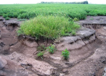 Por la erosión hídrica, la Argentina se hunde medio milímetro por año