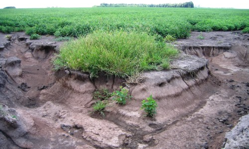 Por la erosión hídrica, la Argentina se hunde medio milímetro por año