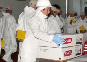 Con el ex Swift a la cabeza, en Argentina funcionaron 380 mataderos de bovinos en 2017