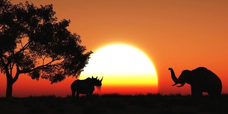 La Mesa del trigo y una osada propuesta de la industria molinera: conquistar el África