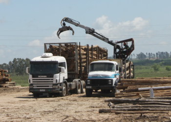 En el marco de un mega-decreto, se vienen los bitrenes y podrían salir a remate las vacas del Ejército