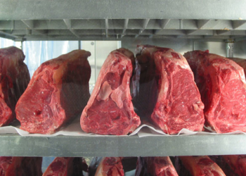 ¿Qué importancia tiene China en el comercio internacional de carnes?