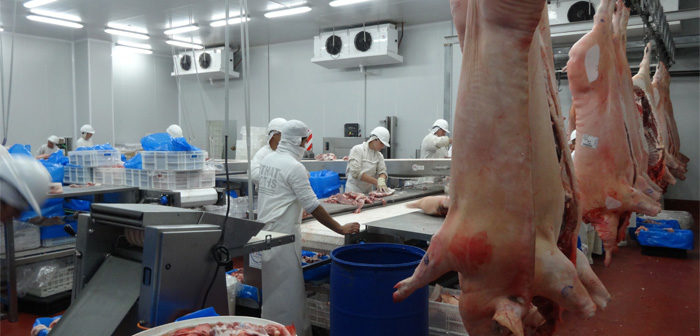 Es oficial: Se extiende al sector porcino el sistema de anticipos de la carne vacuna