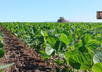 Una pregunta a Cristian Russo: ¿Qué se espera para los cultivos y los rindes en febrero?