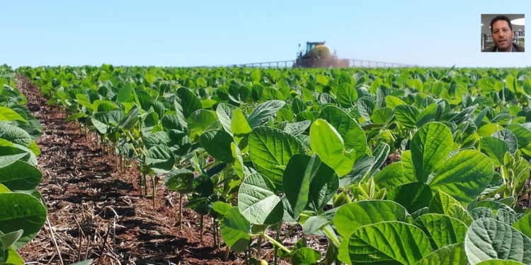 Una pregunta a Cristian Russo: ¿Qué se espera para los cultivos y los rindes en febrero?