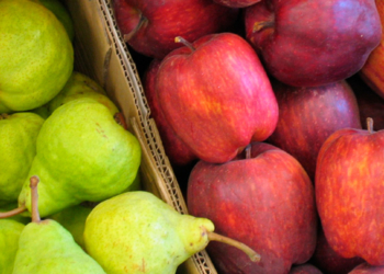 Federico Sacheri: “Cerca del 40% de productores de peras y manzanas abandonó la actividad”