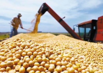 ¡Hagan bien las cuentas! El costo fiscal de la baja de retenciones es la mitad del que dicen