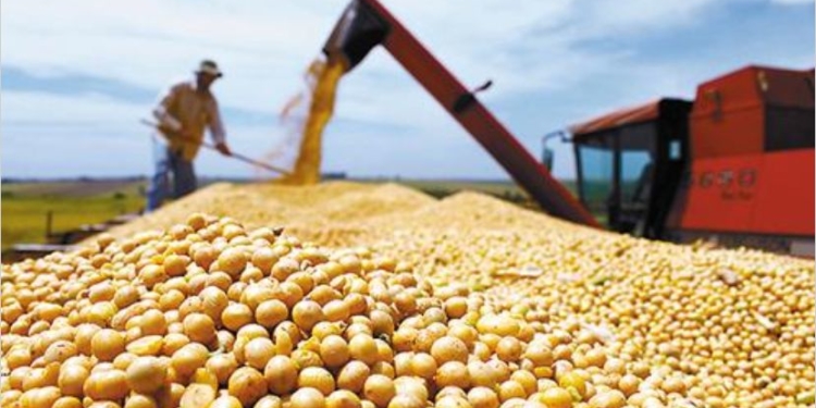 ¡Hagan bien las cuentas! El costo fiscal de la baja de retenciones es la mitad del que dicen