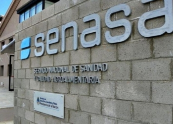 El partido del Senasa: “No se puede colocar en un equipo de fútbol a un jugador de rugby”